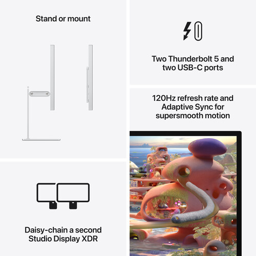 1772554486 IMG 2688188