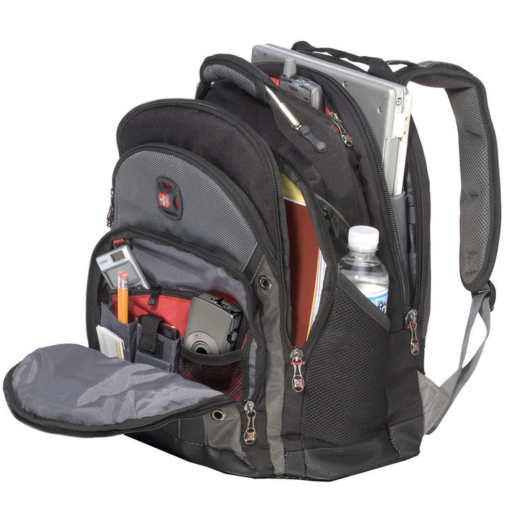 wenger synergy pro backpack