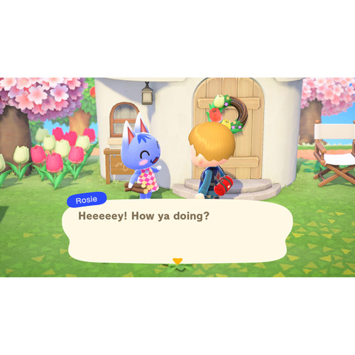 b&h nintendo switch animal crossing