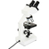 Celestron Celestron Labs – Icroscopio Copuesto De Cabeza Onocular