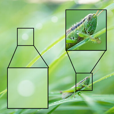 Close-ups with stunning bokeh