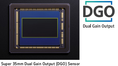 DGO Sensor