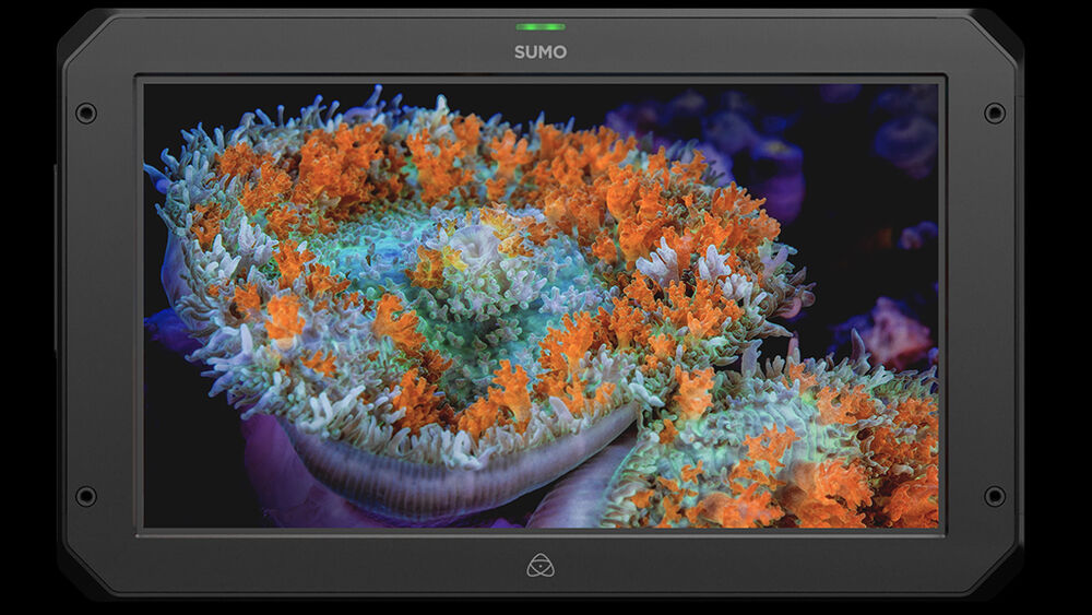 Atomos Sumo 19