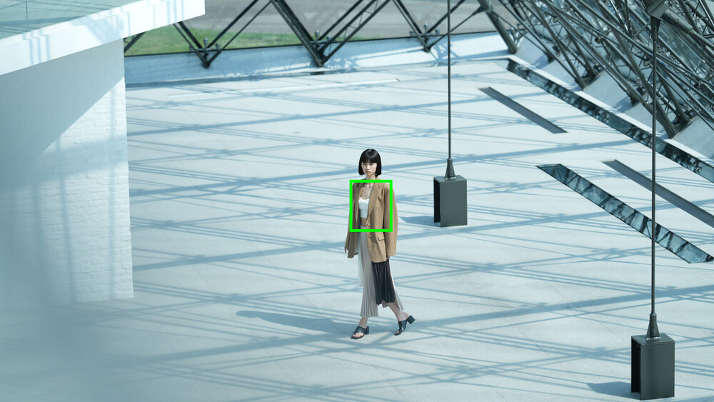 RealtimerecognitionAF_human