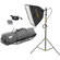 Lowel Rifa-Lite EX55 Softbox Light Kit, LB40 Soft Case LC-95LBZ