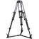 Acebil T1002G Tripod Legs (100mm Bowl)