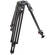 OConnor 30L Two-Stage Carbon Fiber Tripod Legs (100mm Bowl, Standard)