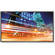 NEC P553 55" LED Backlit Professional-Grade Display