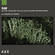 Applied Acoustics Systems Raw - Ultra Analog VA-2 Sound Bank (Download)