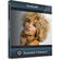 NewBlueFX Essentials 5 Volume 2 (Download)