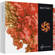 iZotope Nectar 3 - Vocal Production Channel Strip Software for (Download)