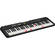 Casio LK-S250 61-Key Touch-Sensitive Portable Keyboard with Lighted Keys