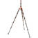 3 Legged Thing Legends Ray Carbon Fiber Tripod (Bronze)