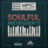 AKAI Professional Soulful Instruments MPC Expansion Software (Download)