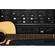 acousticsamples GD-6 Acoustic Guitar Virtual Instrument Software (Download)