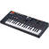 ASM Hydrasynth Explorer Portable Digital Wave-Morphing Synthesizer Keyboard (Black, 8-Voice)