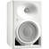Neumann KH 150 Active 6.5" 2-Way Studio Monitor (White, Single)