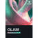 Ujam Usynth GLAM Virtual Synthesizer Plug-In