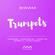 Audio Modeling SWAM Solo Trumpets Virtual Instrument Plug-In