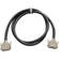 Warm Audio Premier DB25 to DB25 8-Channel Analog Breakout Cable (6')