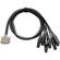 Warm Audio Premier DB25 to XLR 3-Pin Female 8-Channel Analog Breakout Cable (6')