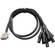 Warm Audio Premier DB25 to XLR 3-Pin Male 8-Channel Analog Breakout Cable (6')