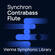 Vienna Symphonic Library Synchron Contrabass Flute Standard Library