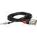 Hosa Technology Pro Stereo Breakout Cable - 3.5mm Stereo Mini to Dual 3-Pin XLR Male (3')