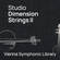 Vienna Symphonic Library Studio Dimension Strings II Virtual Instrument
