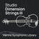 Vienna Symphonic Library Studio Dimension Strings III Sul Tasto Virtual Instrument