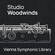 Vienna Symphonic Library Studio Woodwinds Virtual Instrument Plug-In