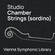 Vienna Symphonic Library Studio Chamber Strings Sordino Virtual Instrument (Download)