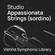 Vienna Symphonic Library Studio Appassionata Strings Sordino Virtual Instrument (Download)