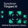 Vienna Symphonic Library Synchron Timpani III Full Library Upgrade Virtual Instrument (Download)