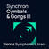 Vienna Symphonic Library Synchron Cymbals and Gongs III Upgrade to Full Library Virtual Instrument (Download)